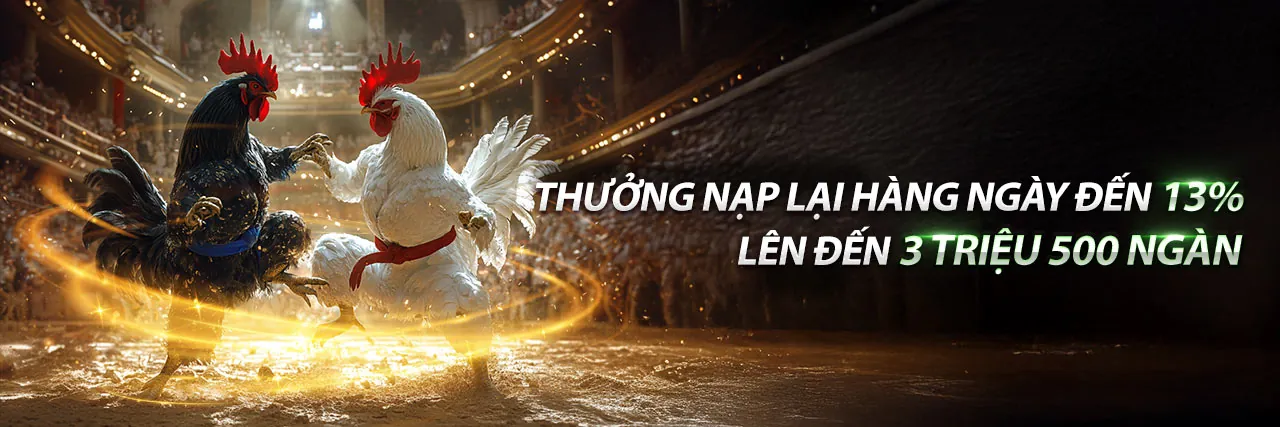 Nền tảng sòng bạc trực tuyến vip666