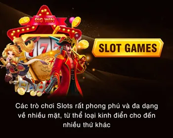 Bảo mật tối ưu vip666